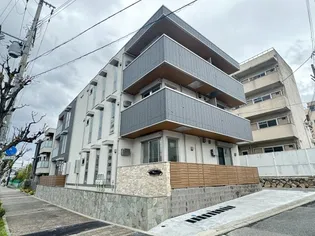 SANSEVIERIA 夏原の画像