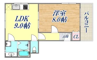 アイランド愛和【4階】の間取り