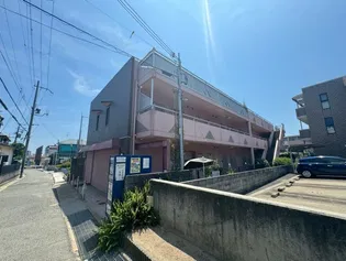 デイジーの画像