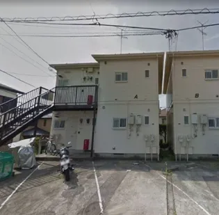 サンフラワーの画像