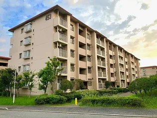 中落合第一住宅453号棟の画像
