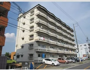 近藤ハイツ【5階】の外観