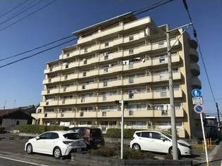 ラジョーヌの画像