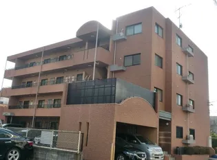 ピュア中平の画像