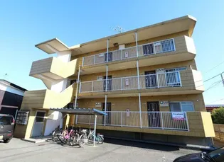 マンションAQUA 山王【203号室】の間取り