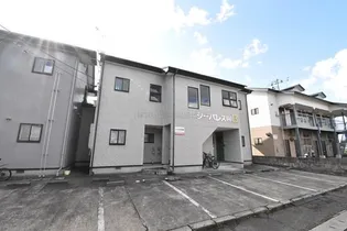 シーパレスまるやまB棟【205号室】の間取り