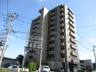 サーパス旭南【1002号室】の間取り