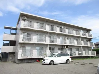 メゾン・ド・ノア茨島【204号室】の間取り