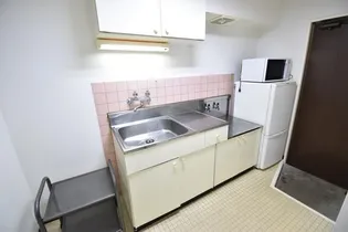 リビンアベ【307号室】のキッチン