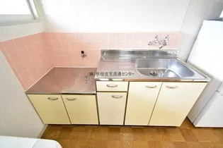 メゾン湖雲【203号室】のキッチン