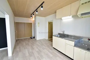 アートヒルズ日吉【203号室】の居間