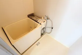 ケインズハウス【H号室】の風呂