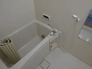 メゾンド菅原三八 C【106号室】の風呂