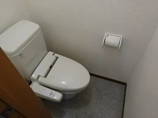 メゾンド菅原三八 C【206号室】のその他画像