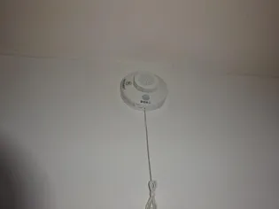 メゾンド菅原三八 C【206号室】のその他画像