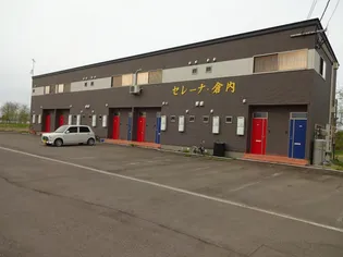 セレーナ倉内【1D号室】の間取り