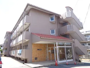 大阪府堺市中区小阪【マンション】の外観