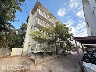 大阪府高石市羽衣2丁目【マンション】の外観
