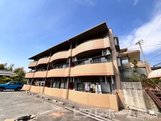 大阪府堺市中区田園【マンション】の外観