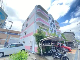 大阪府泉大津市松之浜町2丁目【マンション】の外観