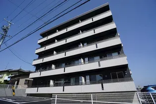 クロリスの画像