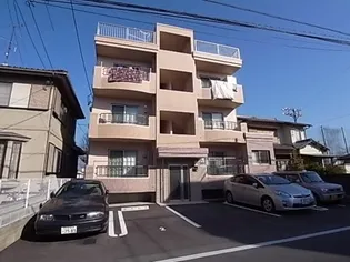 ティダパティオの画像