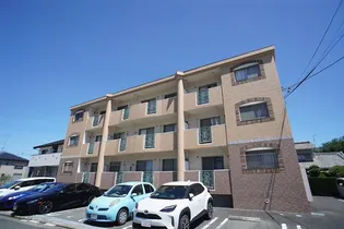 ダンデライオンの画像