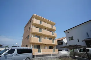 スプリングウインドの画像