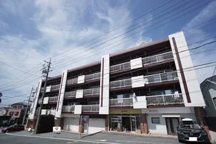 グレース名倉の画像