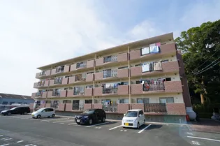 クリスタルフォレスト【403号室】の外観