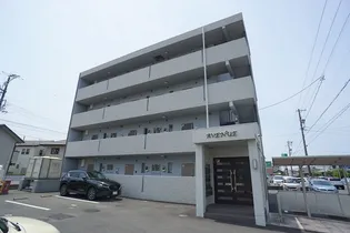 AVENUEの画像