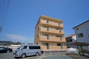 スプリングウインドの画像