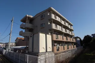 アネーロの画像