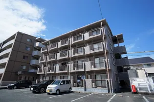 YKバンブーIIの画像