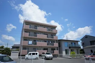 ハイムコターナIIの画像