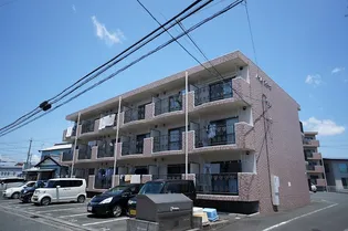 ハイムコターナの画像