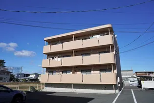 ヴィヴレコートIIの画像