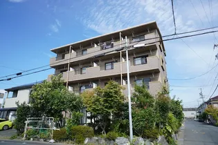 バンブーリーヴスIIIの画像