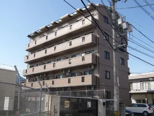 ティアラサイワの画像