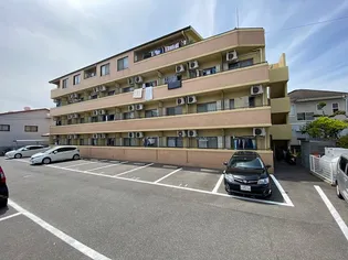 ドリームハイツ【3階】の外観