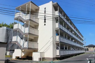 サンローレル宮内A棟【4階】の外観