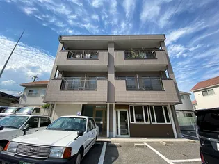 コンフォートTの画像