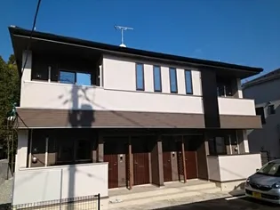 アナメリノの画像