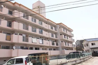 コーポ中洲の画像