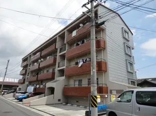 スワビルの画像