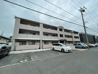 ヴィラ平林II【2階】の外観