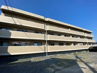 エントピアK Sの画像