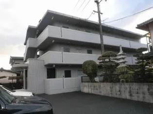 シャローム村岡の画像