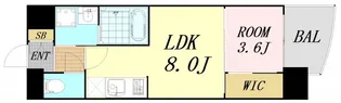 セレニテ福島アリア 【11階】の間取り