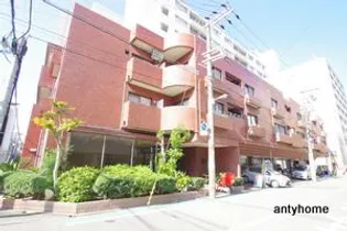 中之島ロイヤルハイツ【2階】の外観